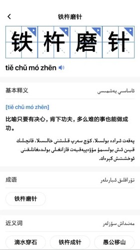 国语助手维汉翻译app截图2