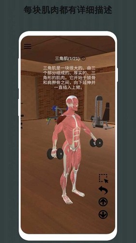 3D健身动画教程app截图4