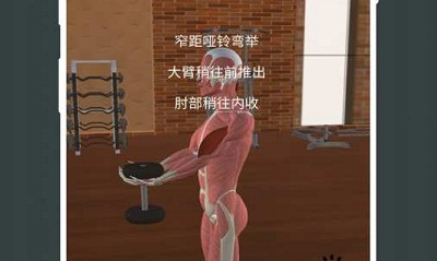 3D健身动画教程中文版下载