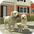 Dog Sim最新版本