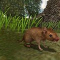 真实老鼠生存模拟器中文版