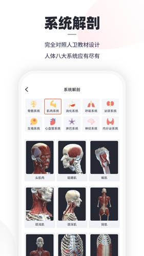 口袋人体解剖app截图1