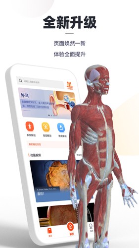 口袋人体解剖app截图3