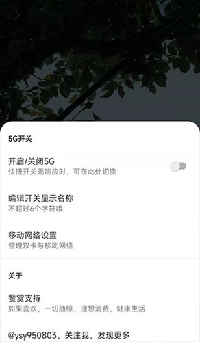 MIUI状态栏5G开关app截图3