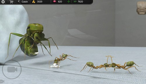 蚂蚁模拟大亨中文版截图3