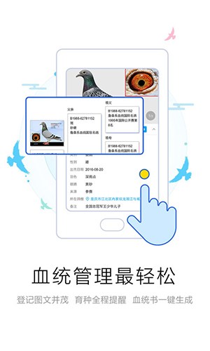 爱鸽者官方版app截图1