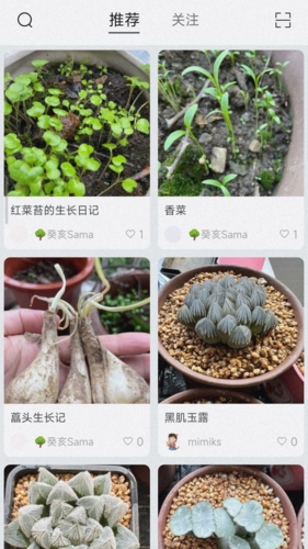 小植物app截图1