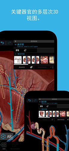2023人体解剖学图谱app截图2