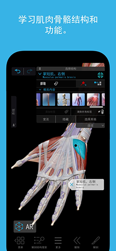 2023人体解剖学图谱app截图3