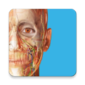 2023人体解剖学图谱app
