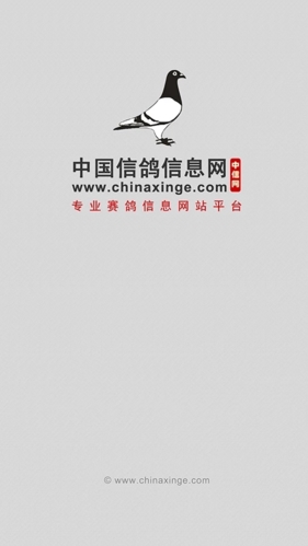 中国信鸽信息网app宣传图
