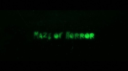 maze of horror手机版截图3