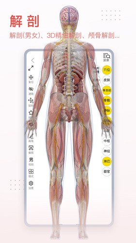 3dbody解剖免费版截图3