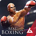 Real Boxing最新版