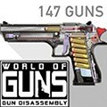 World of Guns最新版