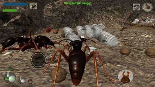 蚂蚁求生模拟器最新版截图2