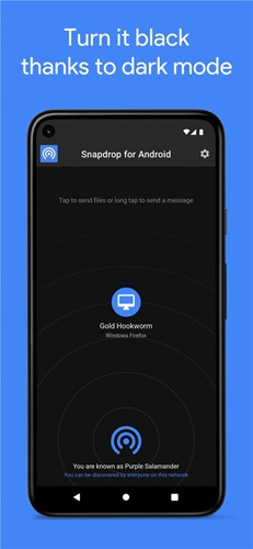 Snapdrop传输文件app截图3