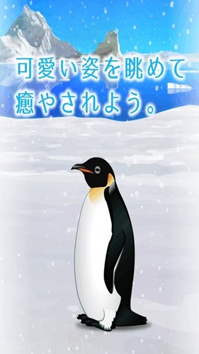 Penguin最新版截图2