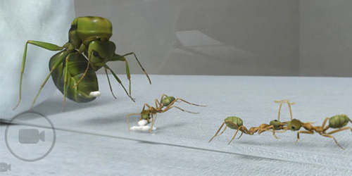 蚂蚁模拟大亨蚂蚁破解版游戏特色
