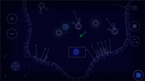 微生物模拟器完整版游戏特色