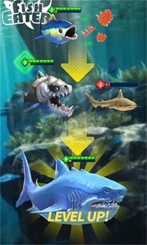 鲨鲨进化论截图3