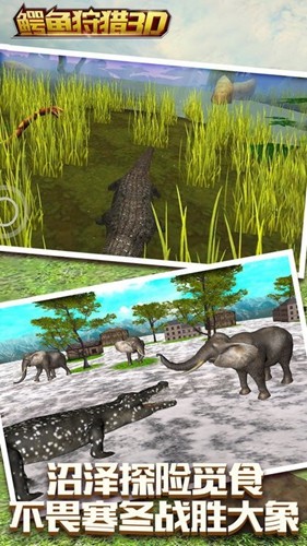 鳄鱼狩猎3D安卓版截图4