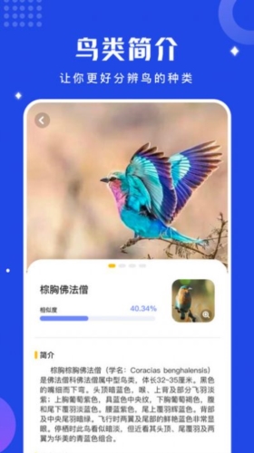 鸟语语言翻译器app截图1