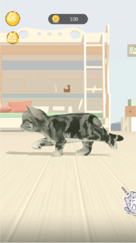 呼噜猫舍app11