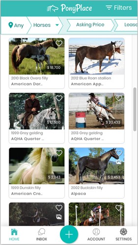 马匹交易app截图4
