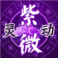 灵机紫微斗数app