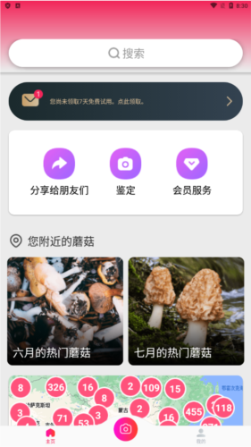 蘑菇识别扫一扫app宣传图