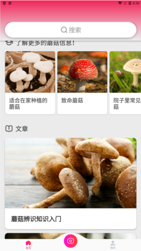 蘑菇识别扫一扫app优势
