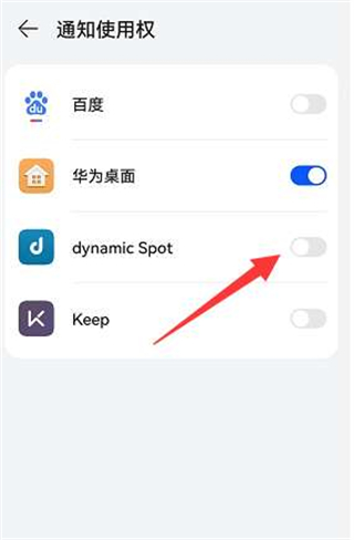 dynamic Spot中文版5