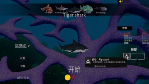 海底大猎杀抖音直播版鱼种介绍6
