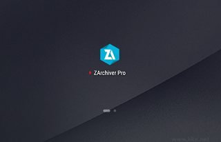 zarchiver pro手机版2