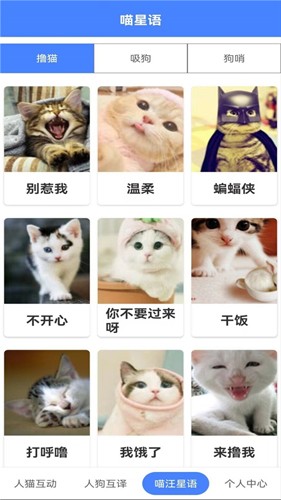 萌趣猫狗翻译器app截图4