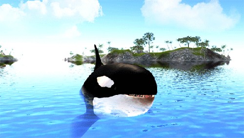 虎鲸模拟器最新版截图4