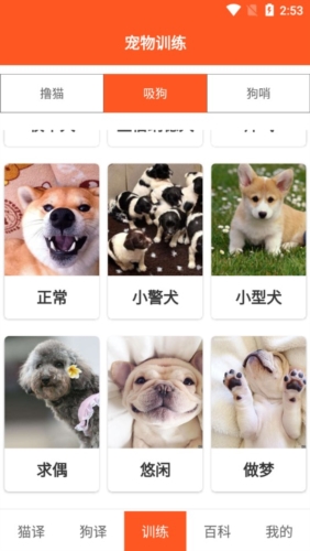 萌趣猫狗翻译器app功能