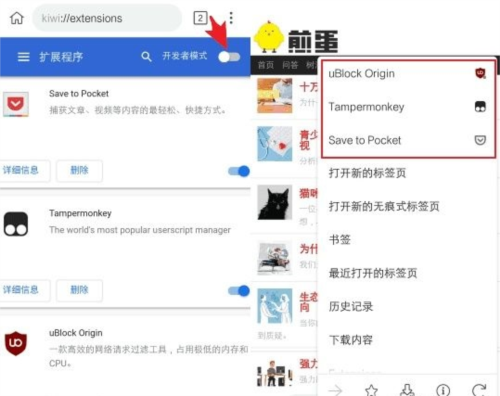 Kiwi Browser安卓版图片7