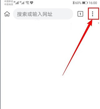 Kiwi Browser安卓版图片10