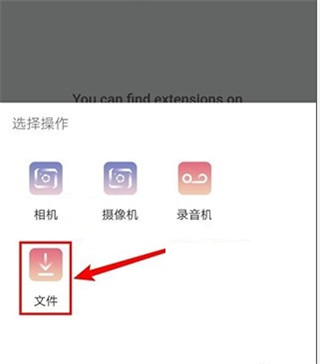 Kiwi Browser安卓版图片13