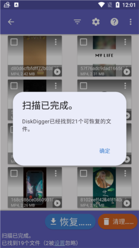 Diskdigger Pro中文版20