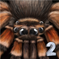 终极蜘蛛模拟器2无限经验版