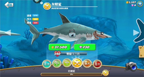 饥饿鲨世界鲨鱼排名4