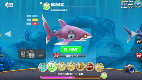 饥饿鲨世界鲨鱼介绍2