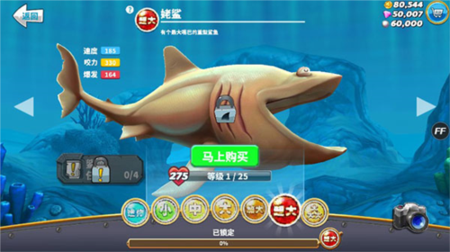 饥饿鲨世界鲨鱼介绍6