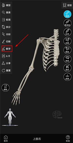 解剖大师app如何使用画笔