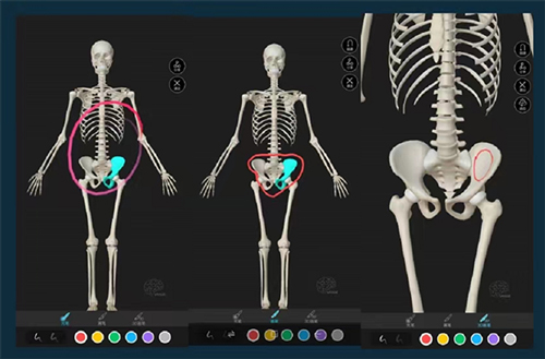 解剖大师app画笔功能