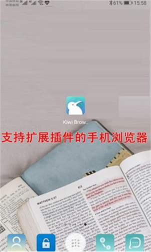kiwi浏览器中文官方版7