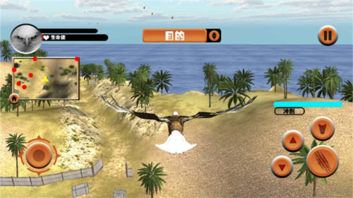 老鹰模拟器中文版地图攻略